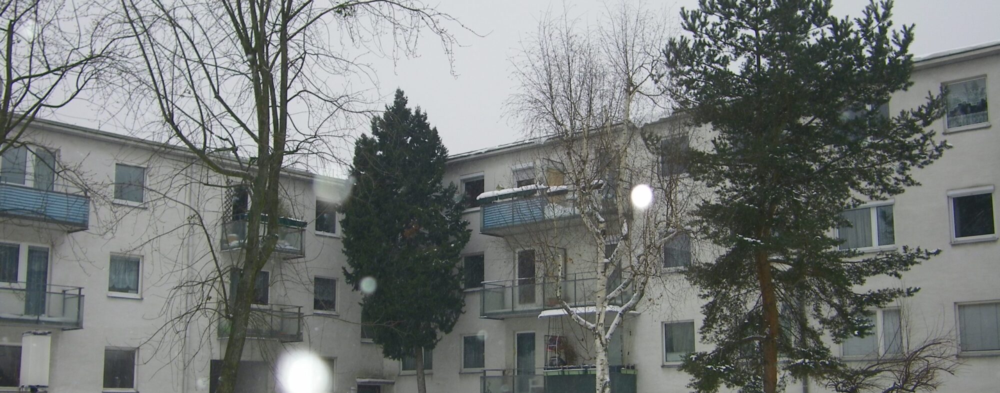 Sanierung 23., Taglieberstraße