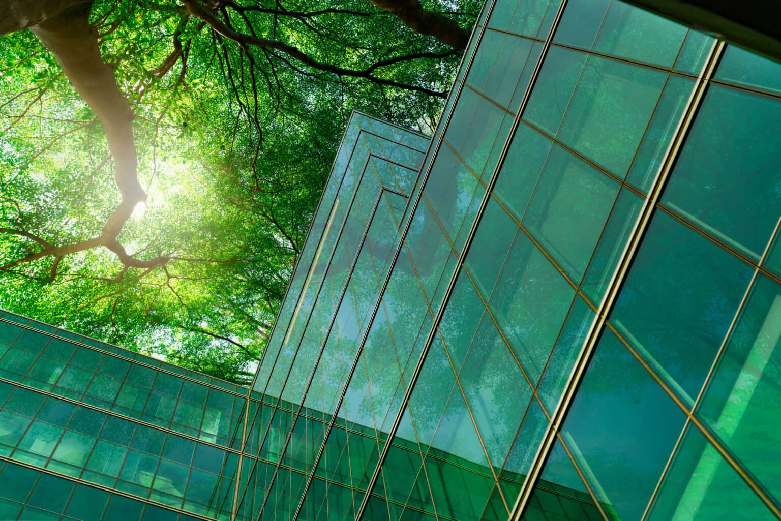 Green Building Zertifikate - Nachhaltigkeit am Bau und in Ihr Objekt